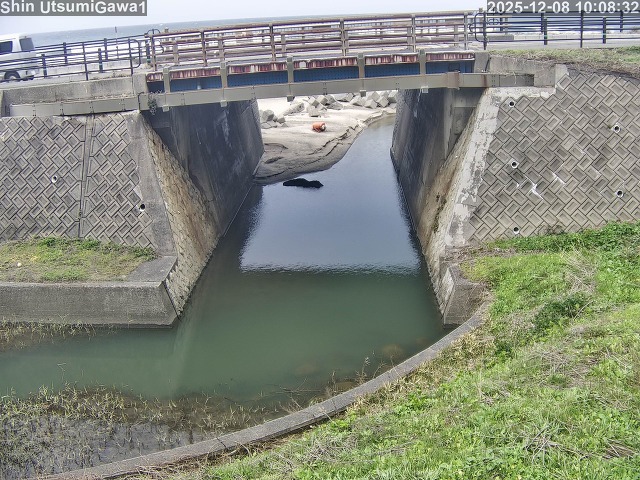 新内海川１2025/12/08 11:30:00