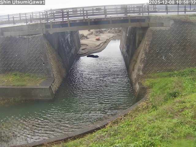新内海川１2025/12/08 11:30:00