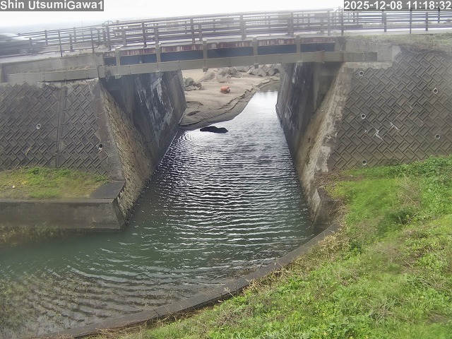 新内海川１2025/12/08 11:30:00