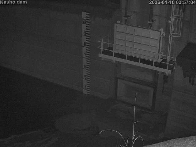 賀祥ダム３（上流）2026/01/16 15:50:00