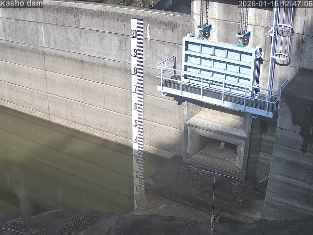 賀祥ダム３（上流）2026/01/16 15:50:00