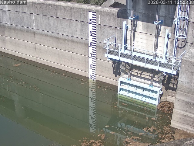 賀祥ダム３（上流）2026/03/11 16:10:00