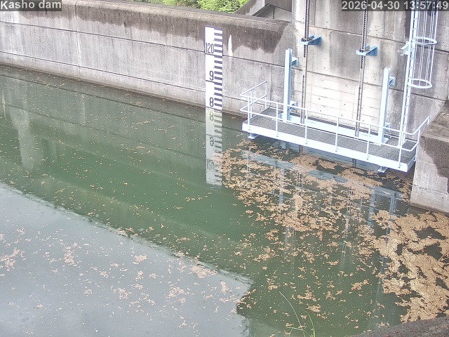 賀祥ダム３（上流）2026/05/01 14:20:00