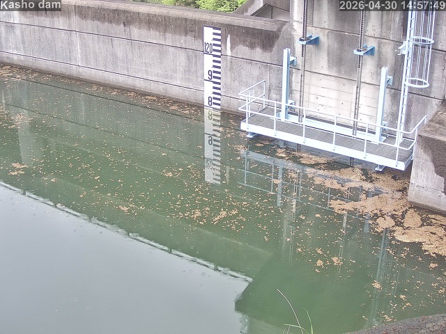 賀祥ダム３（上流）2026/05/01 14:20:00