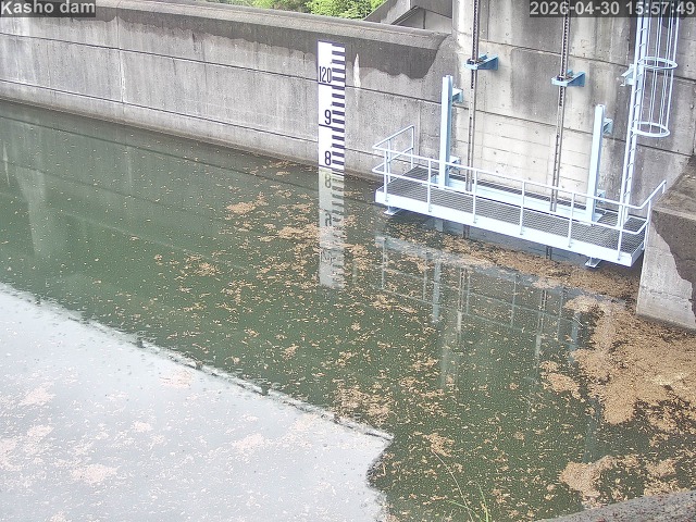 賀祥ダム３（上流）2026/05/01 14:20:00