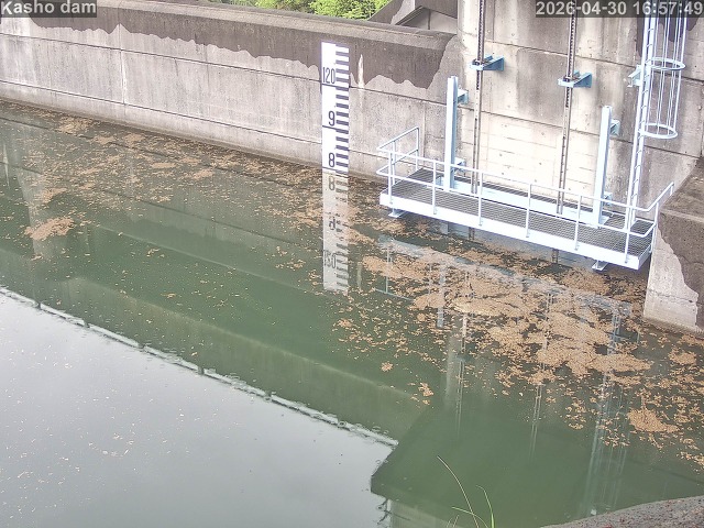賀祥ダム３（上流）2026/05/01 14:20:00