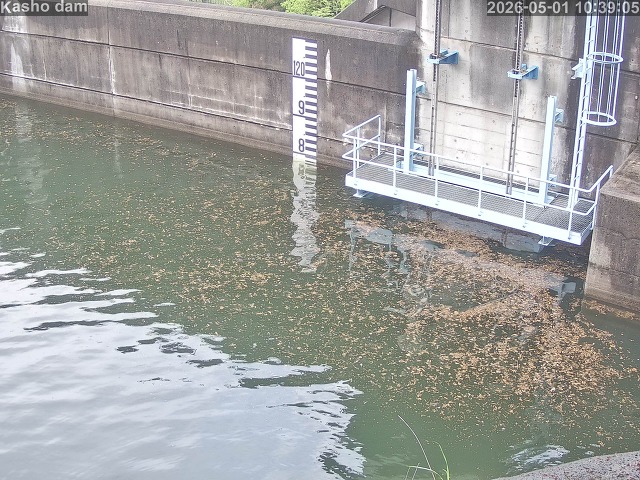 賀祥ダム３（上流）2026/05/01 14:20:00