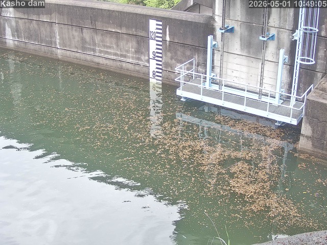 賀祥ダム３（上流）2026/05/01 14:20:00