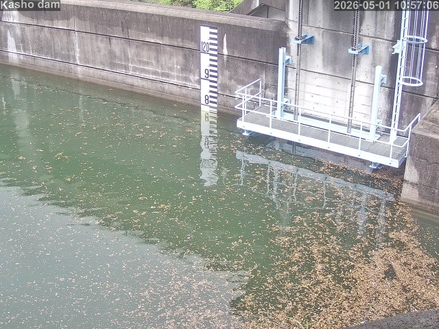 賀祥ダム３（上流）2026/05/01 14:20:00