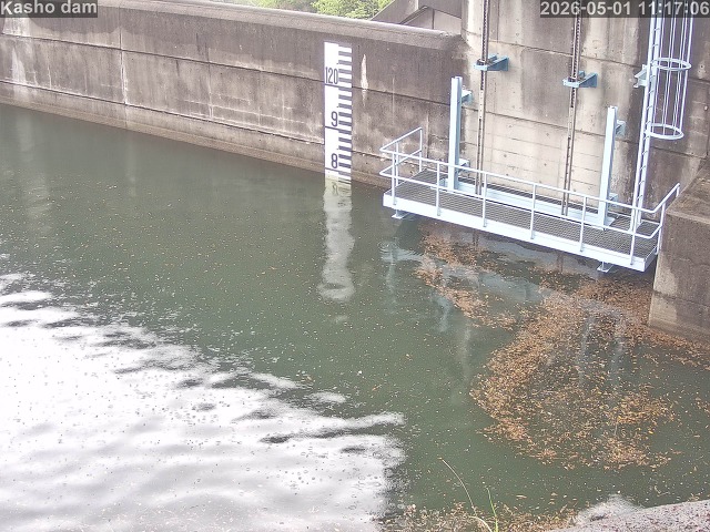 賀祥ダム３（上流）2026/05/01 14:20:00