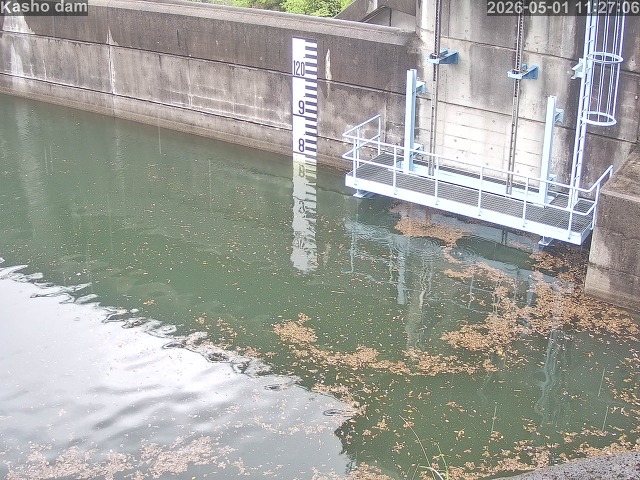 賀祥ダム３（上流）2026/05/01 14:20:00