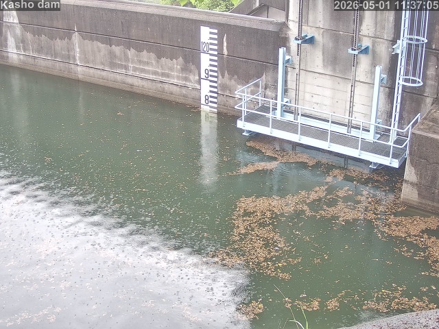 賀祥ダム３（上流）2026/05/01 14:20:00