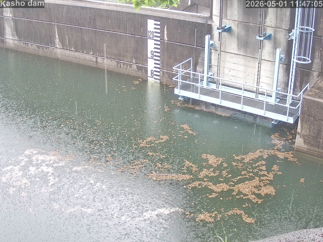 賀祥ダム３（上流）2026/05/01 14:20:00