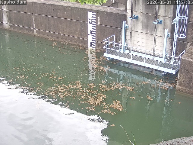 賀祥ダム３（上流）2026/05/01 14:20:00