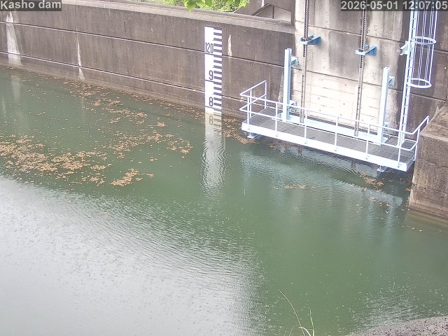 賀祥ダム３（上流）2026/05/01 14:20:00