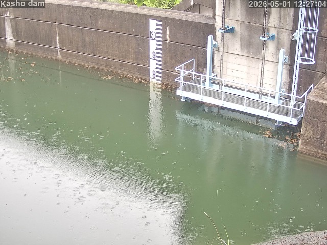 賀祥ダム３（上流）2026/05/01 14:20:00