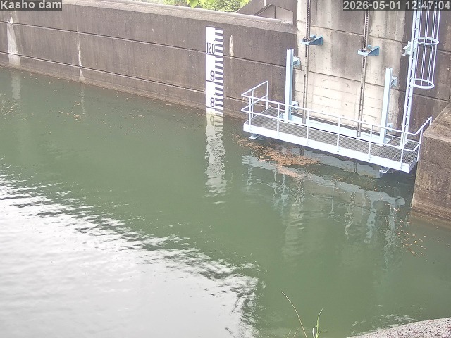 賀祥ダム３（上流）2026/05/01 14:20:00