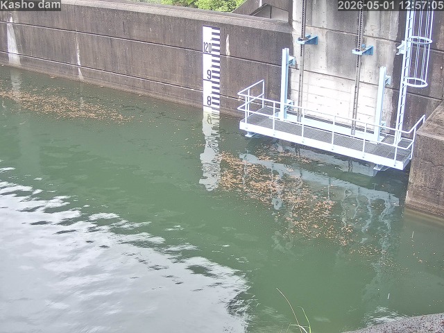 賀祥ダム３（上流）2026/05/01 14:20:00