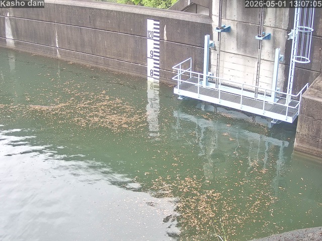 賀祥ダム３（上流）2026/05/01 14:20:00