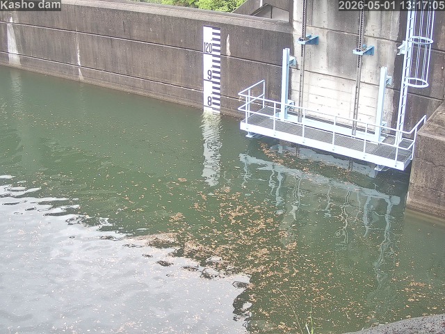 賀祥ダム３（上流）2026/05/01 14:20:00
