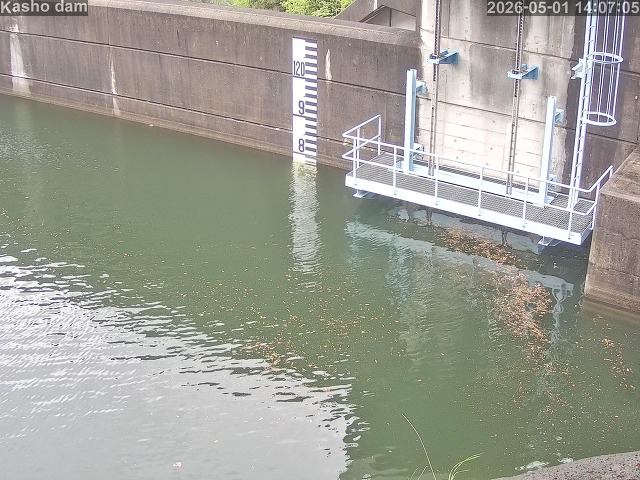 賀祥ダム３（上流）2026/05/01 14:20:00