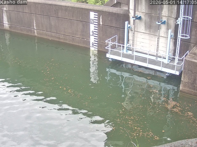 賀祥ダム３（上流）2026/05/01 14:20:00