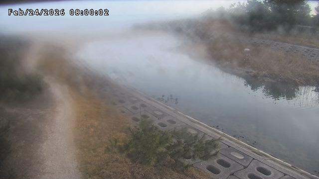 加茂新川河口2026/02/25 2:40:00