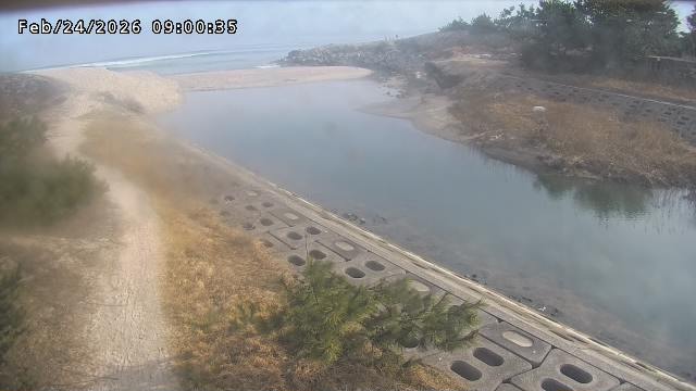 加茂新川河口2026/02/25 2:40:00