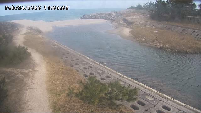 加茂新川河口2026/02/25 2:40:00
