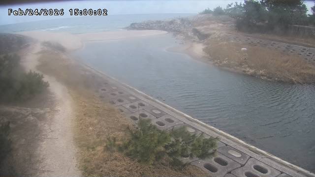 加茂新川河口2026/02/25 2:40:00