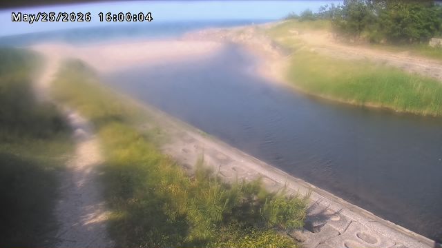 加茂新川河口2026/05/25 21:40:00