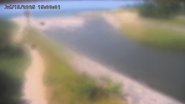 加茂新川河口2026/07/14 15:20:00