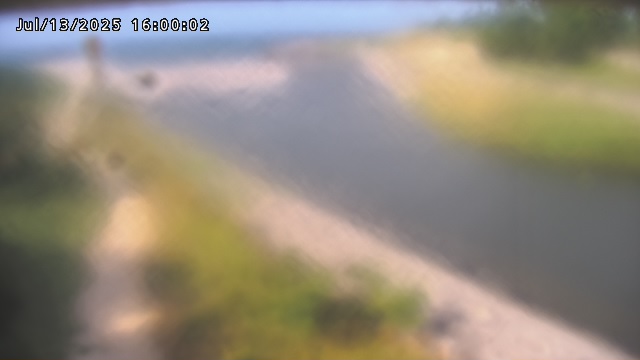 加茂新川河口2026/07/14 15:20:00
