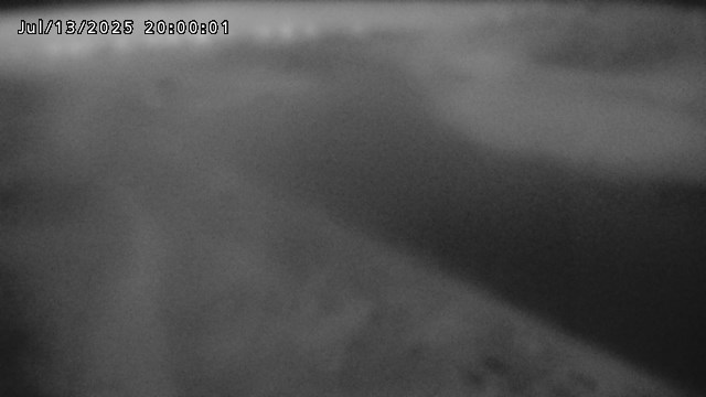 加茂新川河口2026/07/14 15:20:00