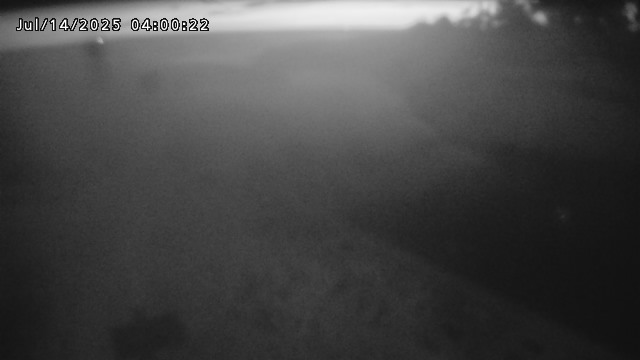 加茂新川河口2026/07/14 15:20:00