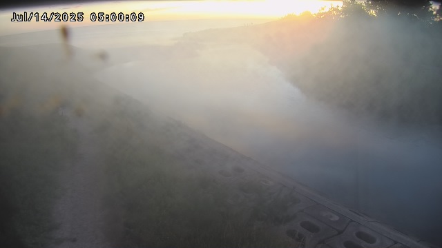 加茂新川河口2026/07/14 15:20:00