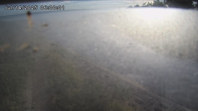 加茂新川河口2026/07/14 15:20:00