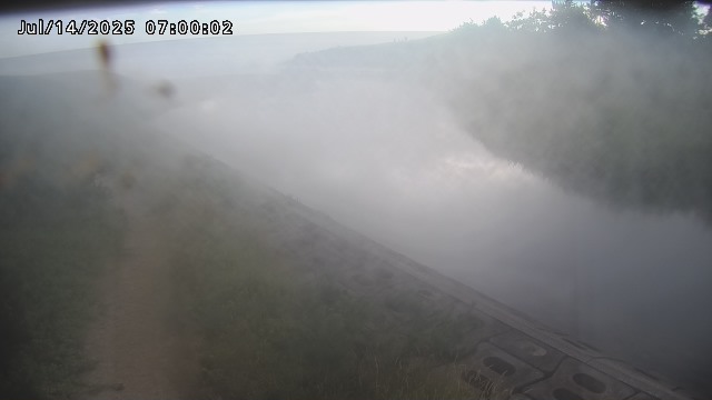 加茂新川河口2026/07/14 15:20:00
