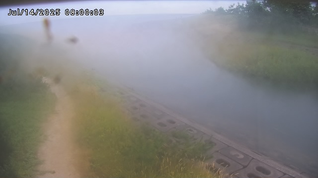 加茂新川河口2026/07/14 15:20:00
