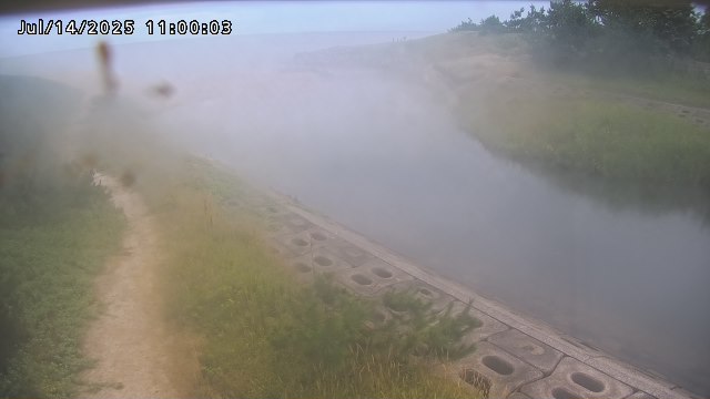 加茂新川河口2026/07/14 15:20:00