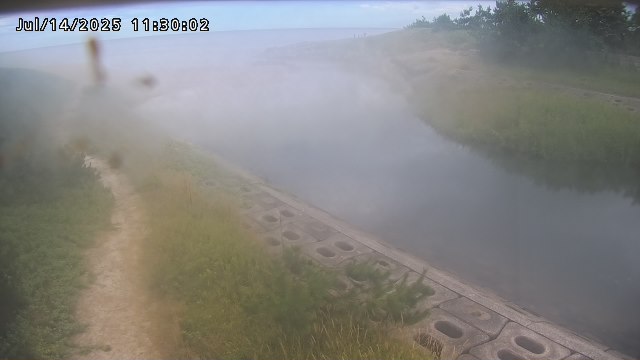 加茂新川河口2026/07/14 15:20:00