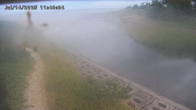 加茂新川河口2026/07/14 15:20:00