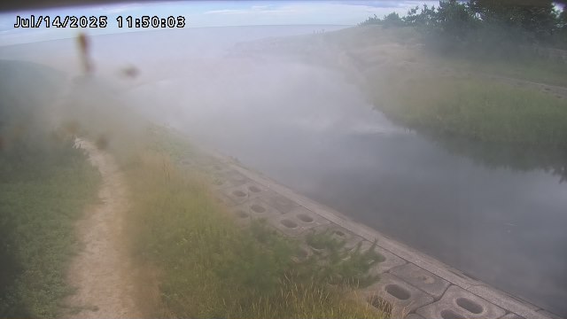 加茂新川河口2026/07/14 15:20:00
