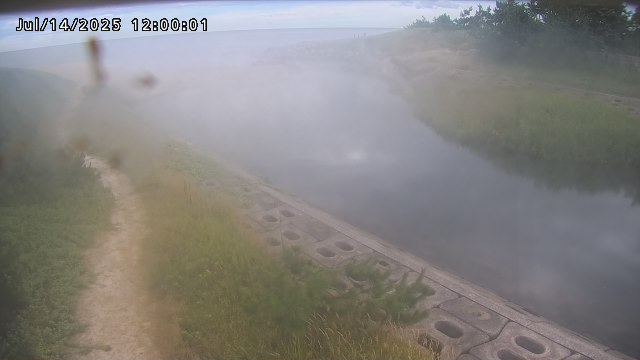 加茂新川河口2026/07/14 15:20:00