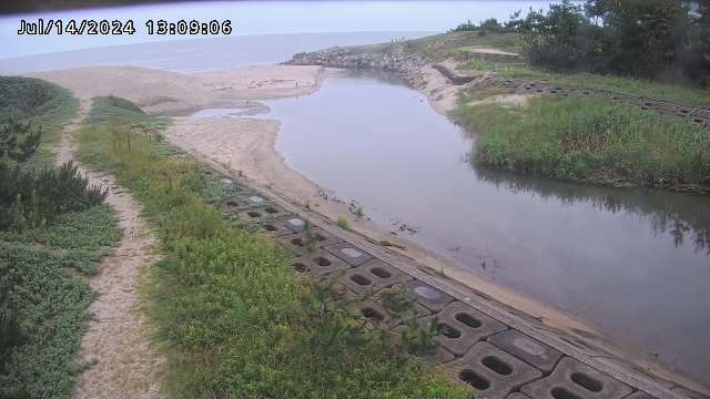 加茂新川河口2026/07/14 15:20:00