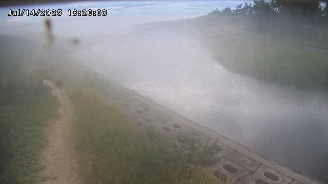 加茂新川河口2026/07/14 15:20:00