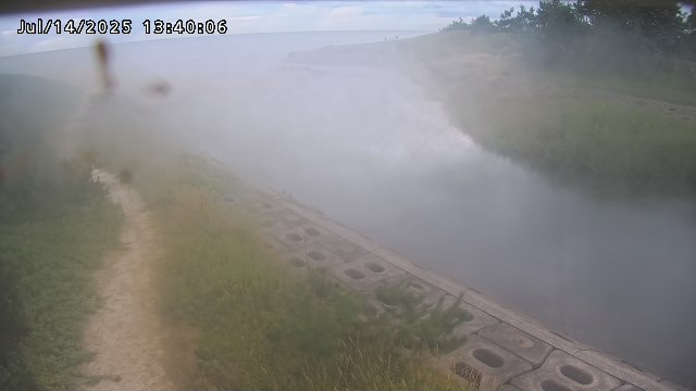 加茂新川河口2026/07/14 15:20:00
