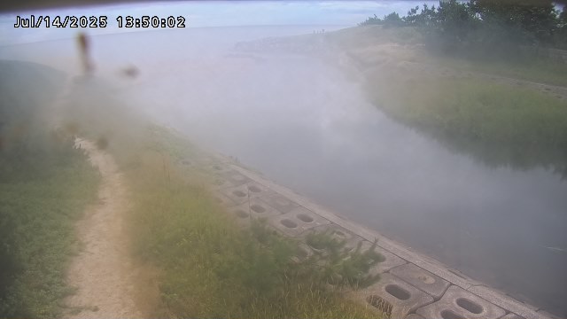 加茂新川河口2026/07/14 15:20:00