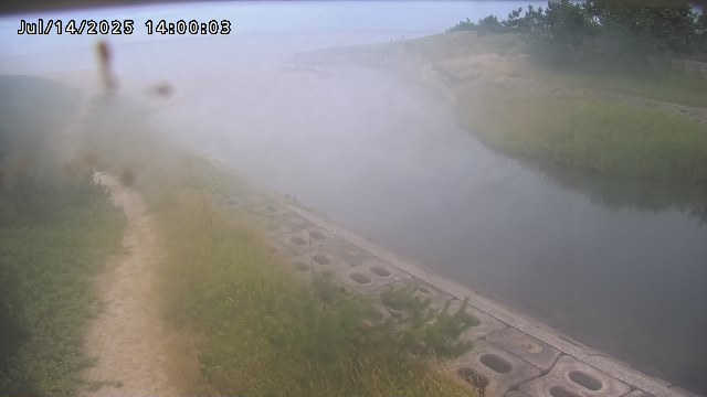 加茂新川河口2026/07/14 15:20:00