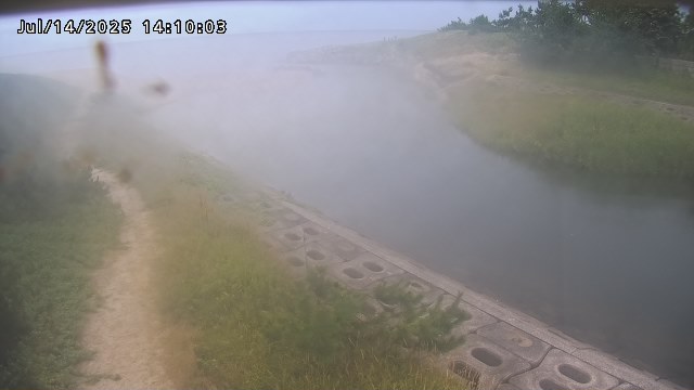 加茂新川河口2026/07/14 15:20:00